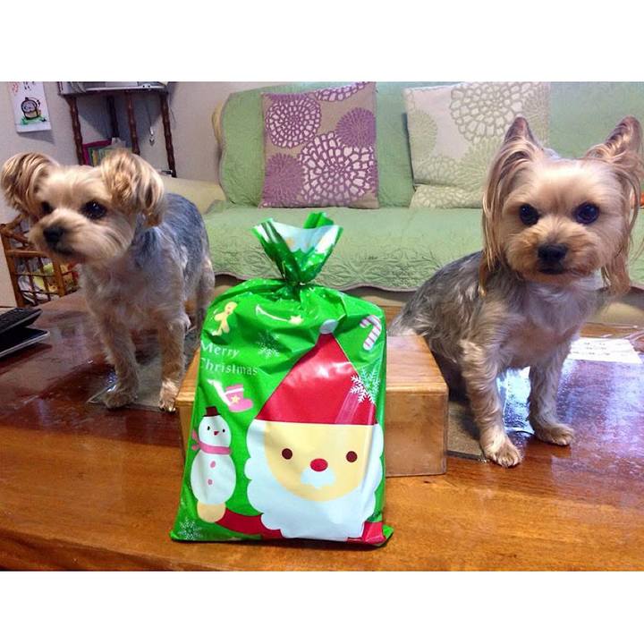 9a34e3ff 8133 4df6 a759 4feabe7f5474 1766563417521