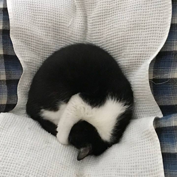 9a34e584 3319 408f 842b e1688649967a 1562810489163