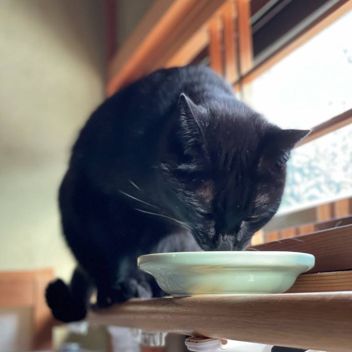 9a3504b8 be6b 4fed 8b6d 158a8405c49e 1640393508202