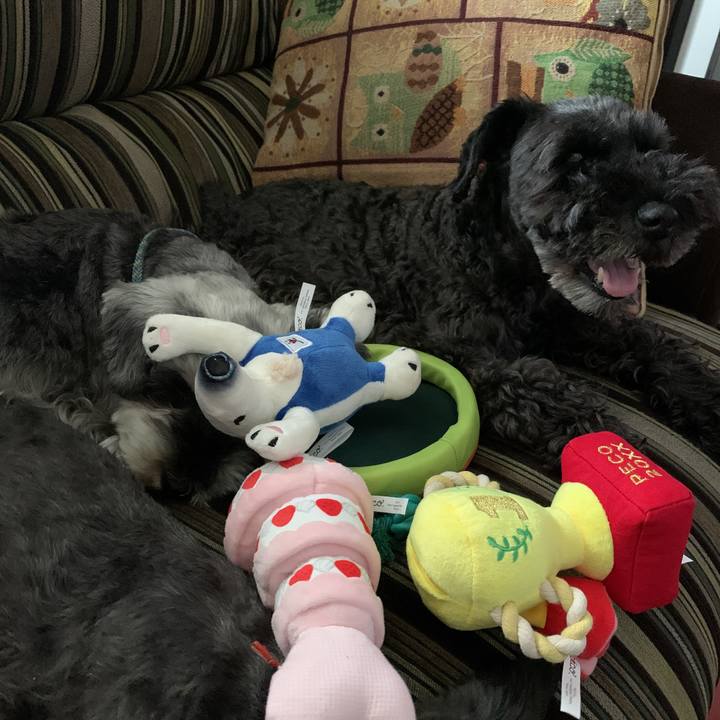 9a3522cc 2988 4feb ae91 b0ccddfc1411 1593221640133