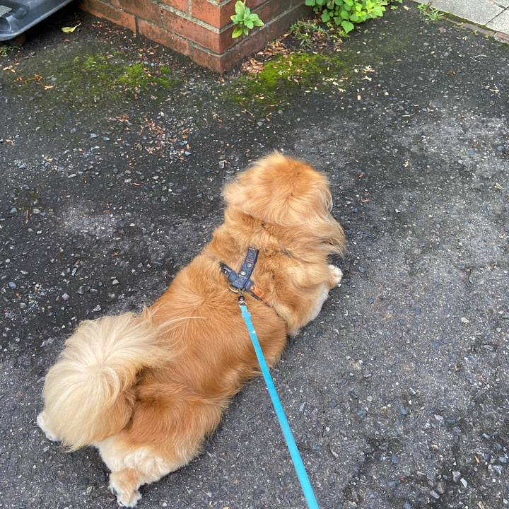 9a352efd 0bb0 4c71 b133 a43fda382ba5 1593119872893