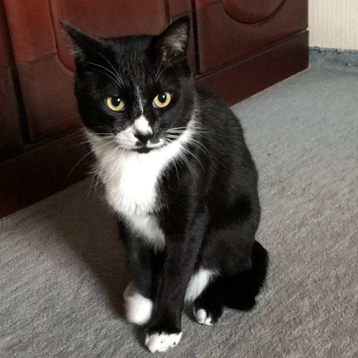 9a3540ba 9802 4de5 8776 73fbc8da812a 1638157539238