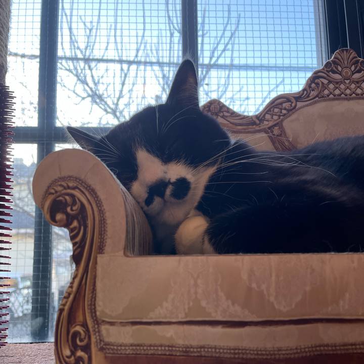 9a35a5c5 84d2 4a4d a479 f44645e33641 1677018250929