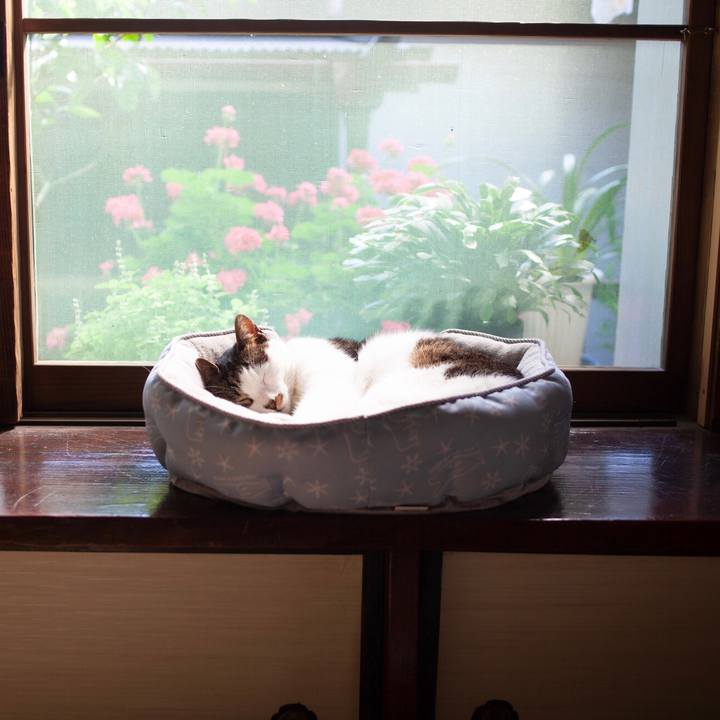 9a35de85 9c1b 4e37 af70 c6d32db3926b 1590812009444