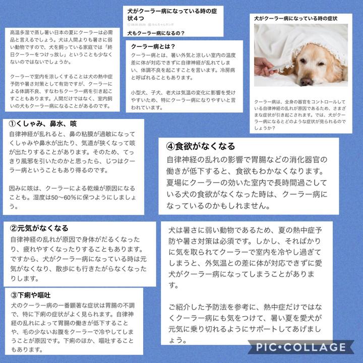 9a35e19e f570 4a02 a095 39fc87ee6107 1533475841534