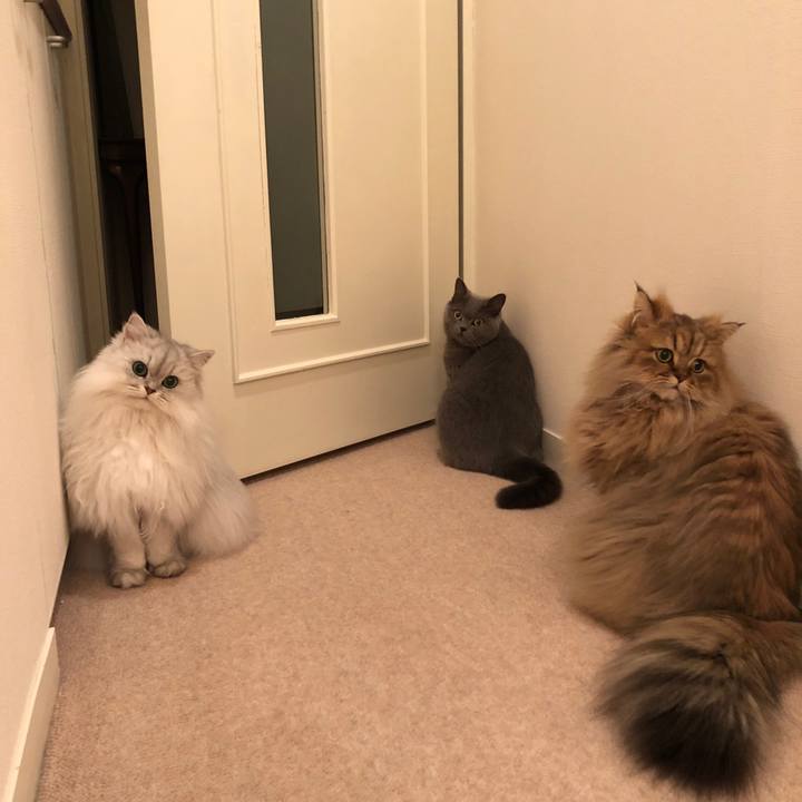 9a364fb1 3d4e 4ba7 81db 8e16c1cf4f5e 1518612107577