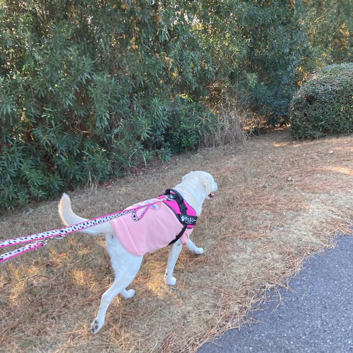 9a36e8e7 513f 4b58 8c4a f80b32f51196 1704545608196