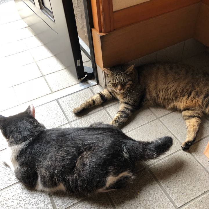 9a36eb8d eb85 4215 b73a dddd76ce41bd 1531039741848