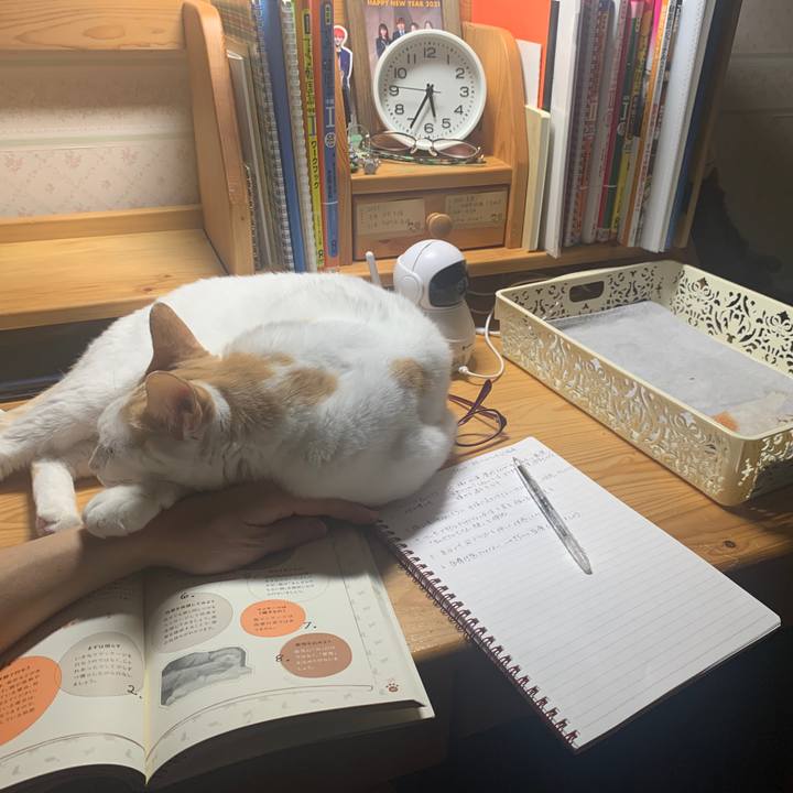 9a370819 86bd 4574 9d9a a99df734fa2e 1646341106852