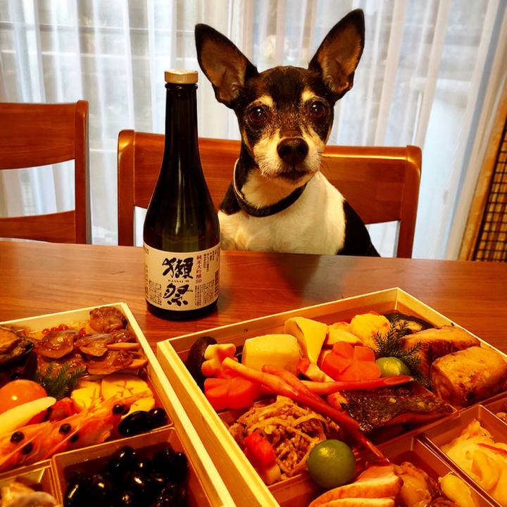 9a377458 5b2a 4d40 ac6b 77aee8e199c0 1546307306079