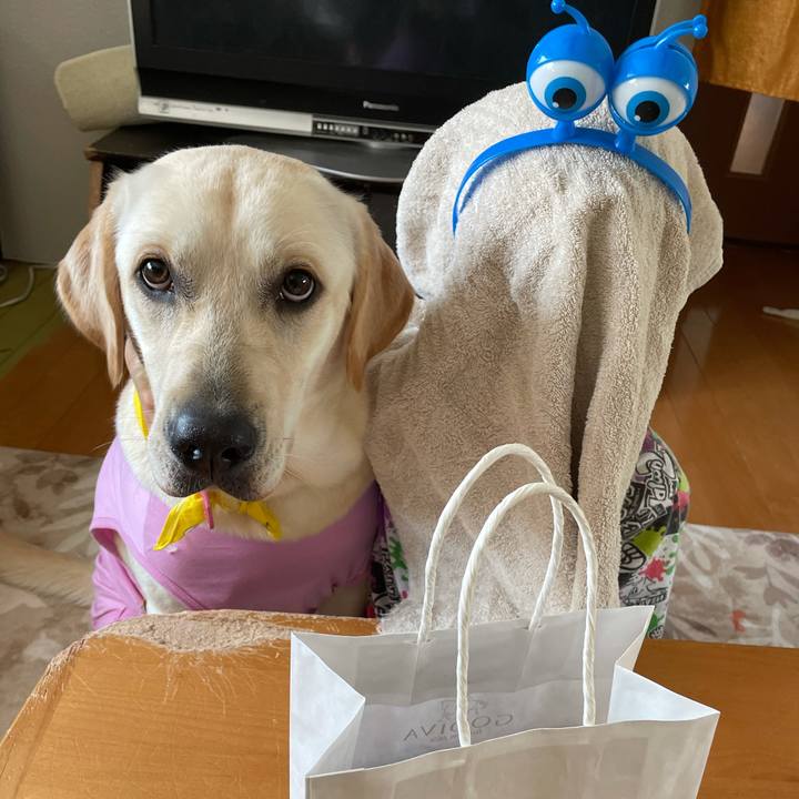 9a377719 2d31 481c 8af6 065c3c792eef 1633496194005