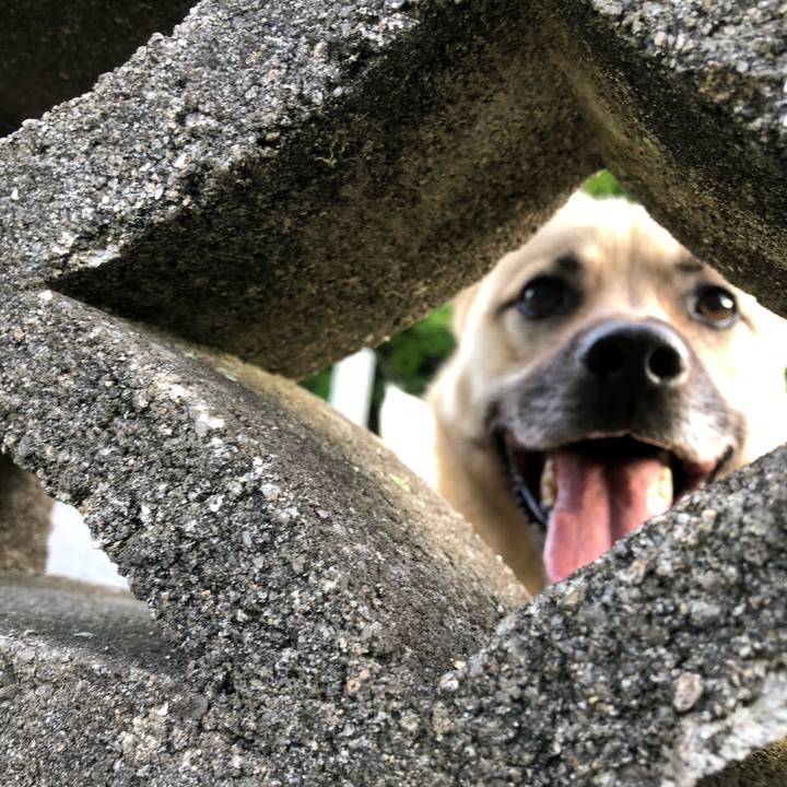 9a37792b d165 4f48 91d5 587e23408a69 1527159693510