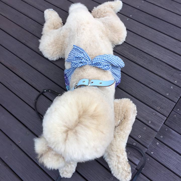 9a379e72 92d0 4d88 9c92 fe27dd86bfc6 1558759122447