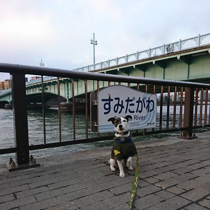 9a37f373 d818 4656 bf4f 3e9cf30780e3 1517729373151