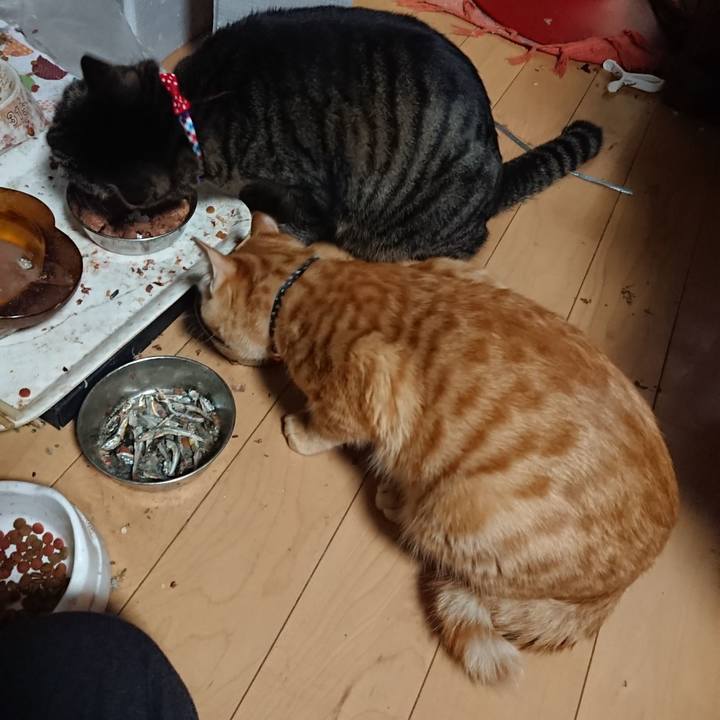 9a38478f 0d5d 4766 aab3 c056e7b5ff06 1642501492094