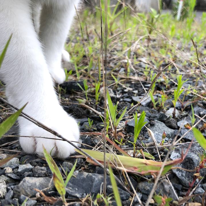 9a38548c 68f0 4739 879d cb98b2904a3a 1564377442341