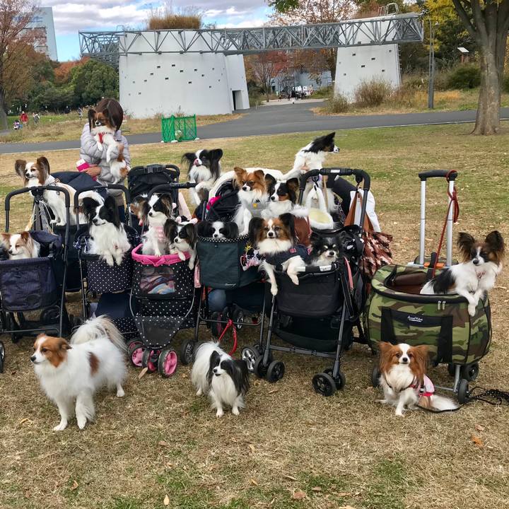 9a386eb9 9b29 44aa adef 63ce0288c642 1511080691314