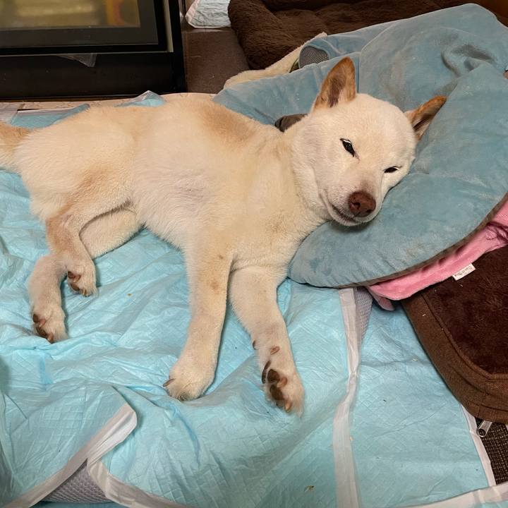 9a388a8b 5a46 4f69 b9fb 55cde00241c2 1650005271647