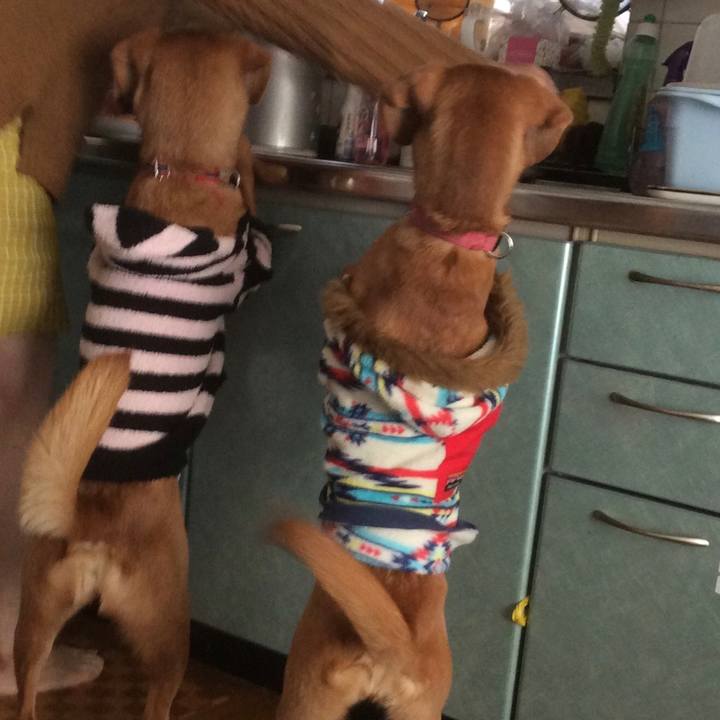 9a388cca 9cb3 4262 a4d1 c9d5d5c37b85 1549062715851