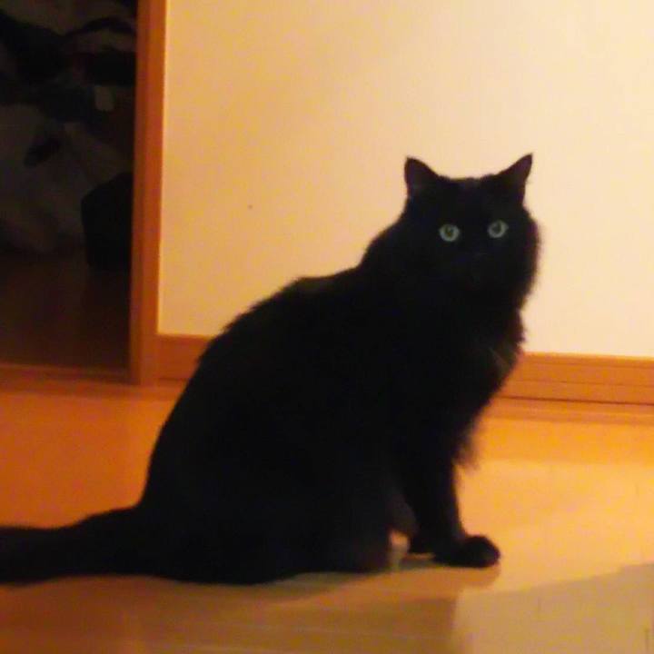 9a38ac74 6841 4dbc 8b28 9ec152c0d9f8 1511873265726