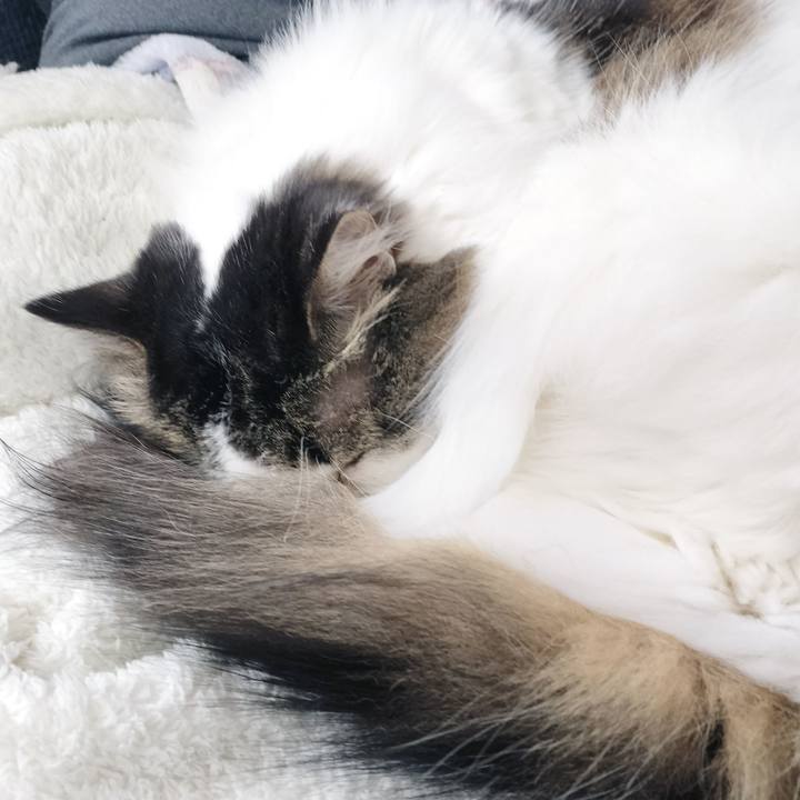 9a3912dd 7f59 4ea6 bf0d 5503759013c2 1770529657684