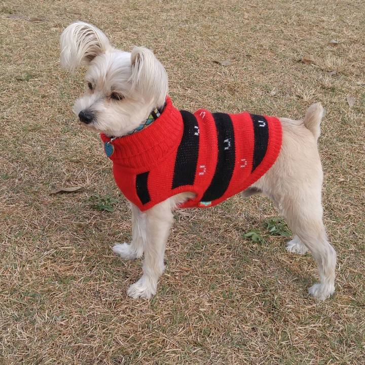 9a3928fa 1b9f 4c4c aad4 fd1ff4250f52 1511151917395