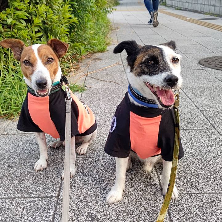 9a39385c 0522 4380 a889 8a134497a17e 1689715327491