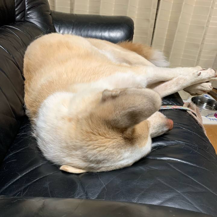 9a3957c1 f9a2 4032 942c 31b87c60cc7f 1573915626829