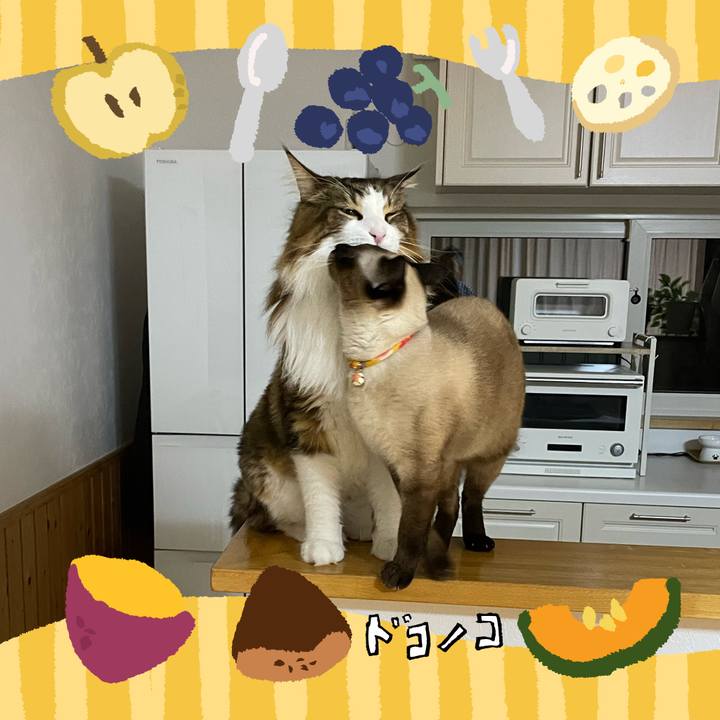 9a396b1d 979a 4086 a652 c8beab3534c7 1727207820646