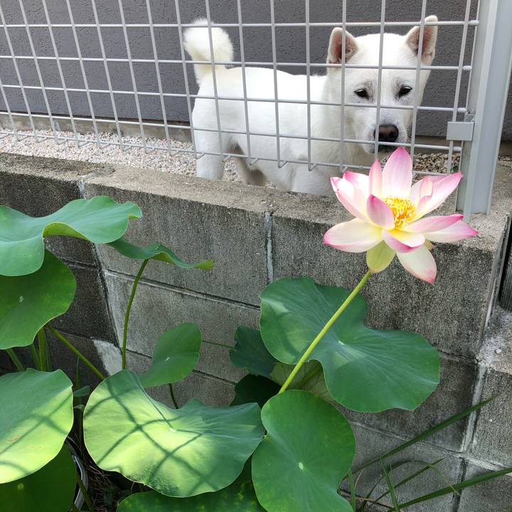 9a397785 bc52 45e2 9fce 13b1ddce4c50 1592178579774