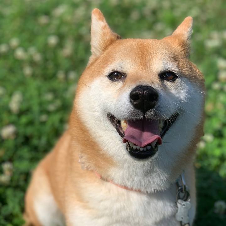 9a398ffb 5544 4b8e 9638 ca328062bdca 1560982936823