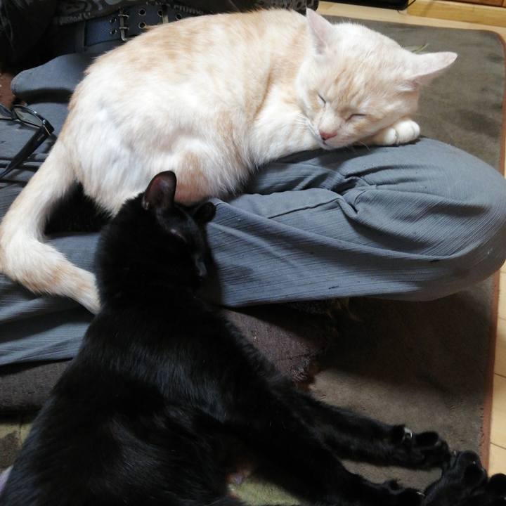 9a39908d 1bd2 40d8 ba8c e076549a2fbf 1615242008338