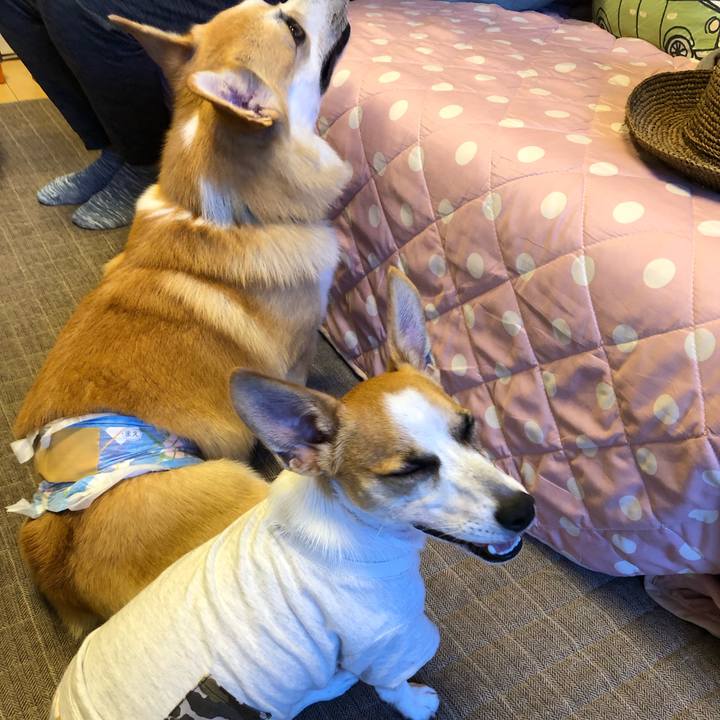 9a3997ed 8c2b 4454 b2da 3089bfbbc186 1567904561956