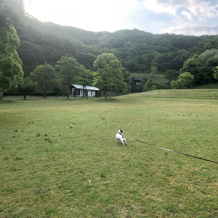 9a399fe0 62f7 4116 ba5e 4098af408984 1557997230408