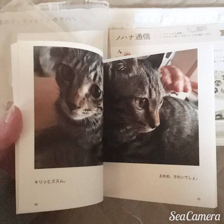 9a39c7b2 42c9 4bed 83e7 5554386d3818 1542679281766