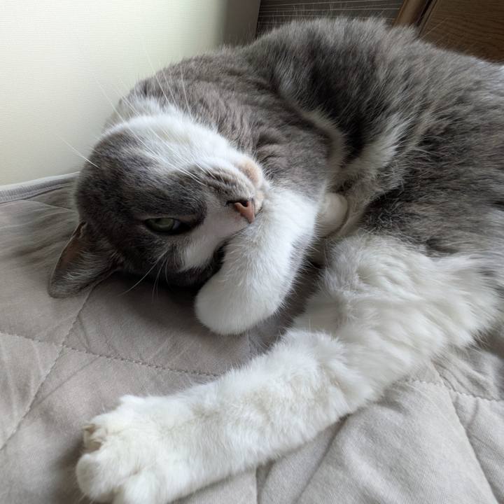 9a39f367 9f96 4dfd aebb cc1285ce7aa0 1750464769879