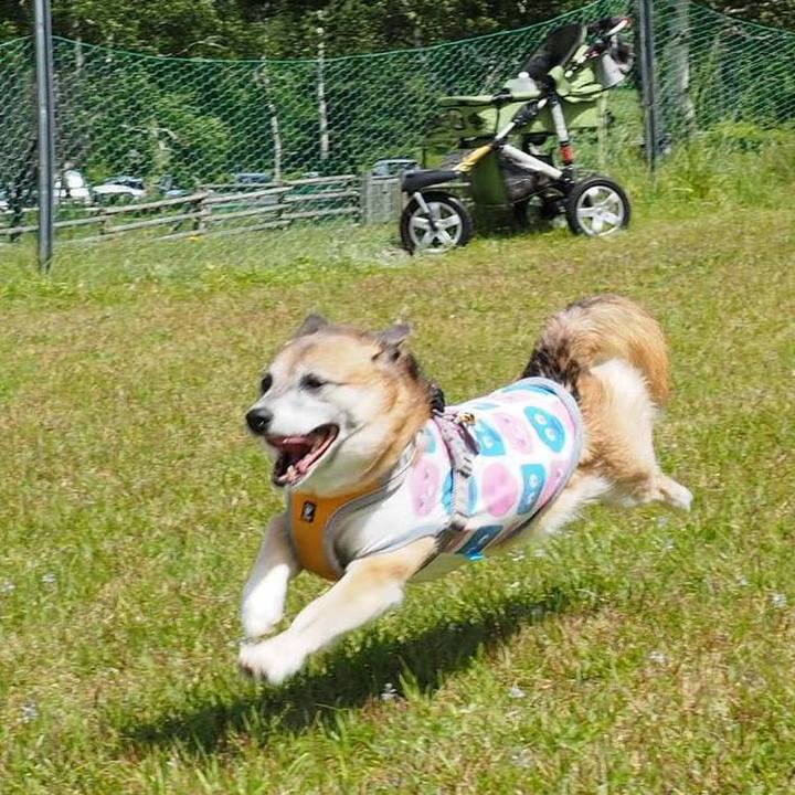 9a3a3667 4dbb 4442 8ab2 754716d69ae5 1756274989388