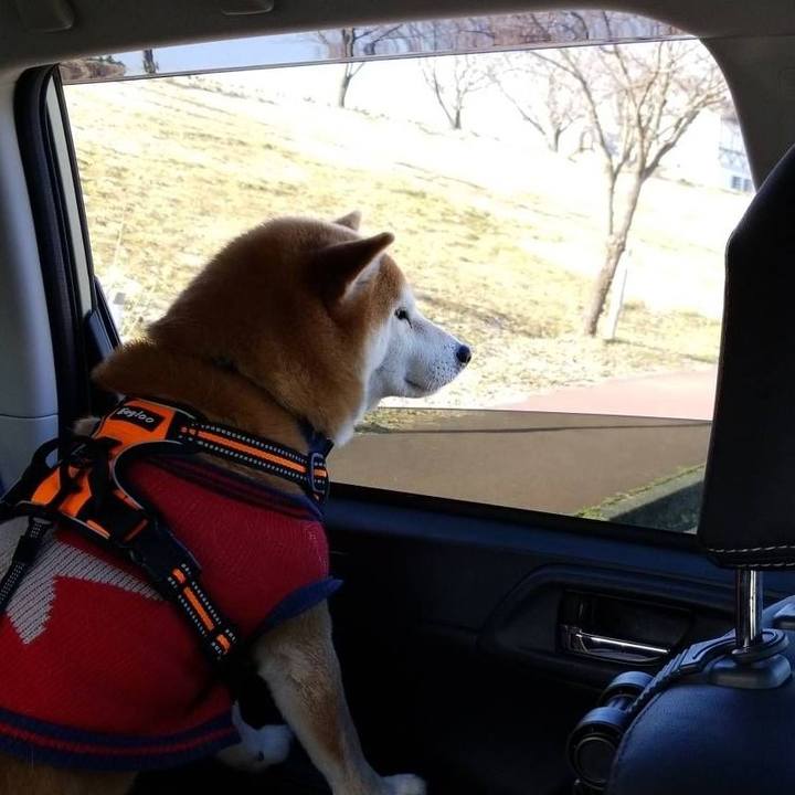 9a3a38c1 d970 443b 8881 50a67d163fe3 1583742920854