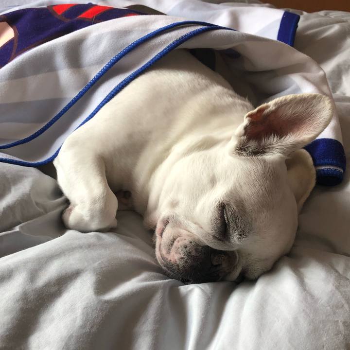 9a3a3a59 43fc 4acf 88f5 101e5c63e7c3 1654856440500