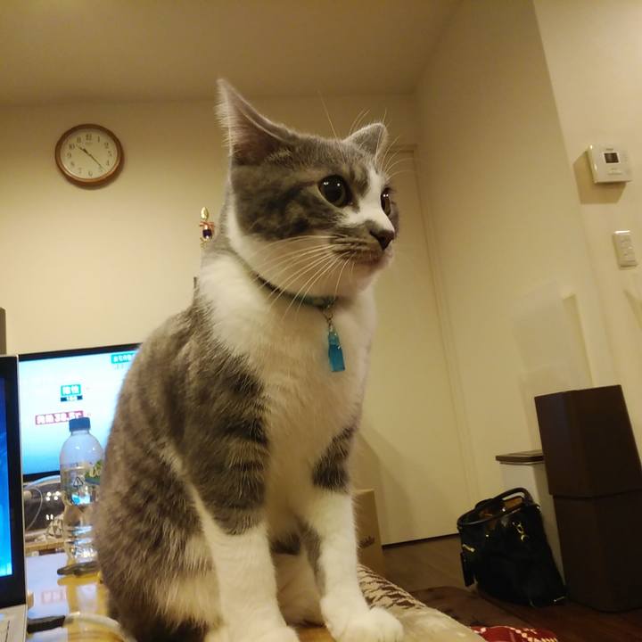 9a3a47e9 6a46 4f4b 996f ffc8fef32201 1581427500072