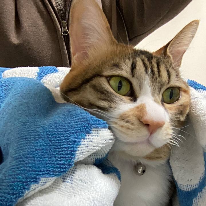 9a3a549e f663 4795 8939 ffe75a18e74f 1737160237571