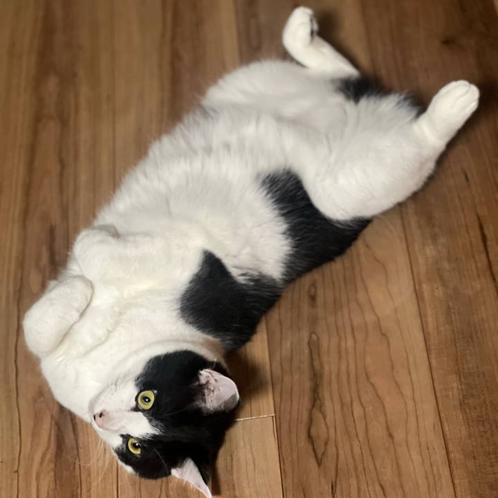 9a3a556a 1d83 4519 91e5 c1fd1e94bc00 1652540839104