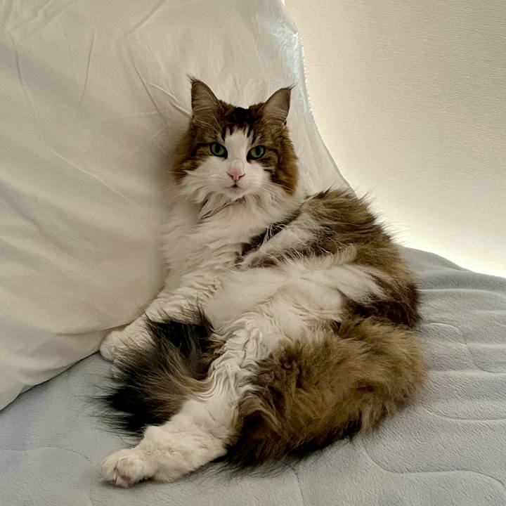 9a3a91b0 8ec3 4b95 8322 0f599036a44d 1710161890142