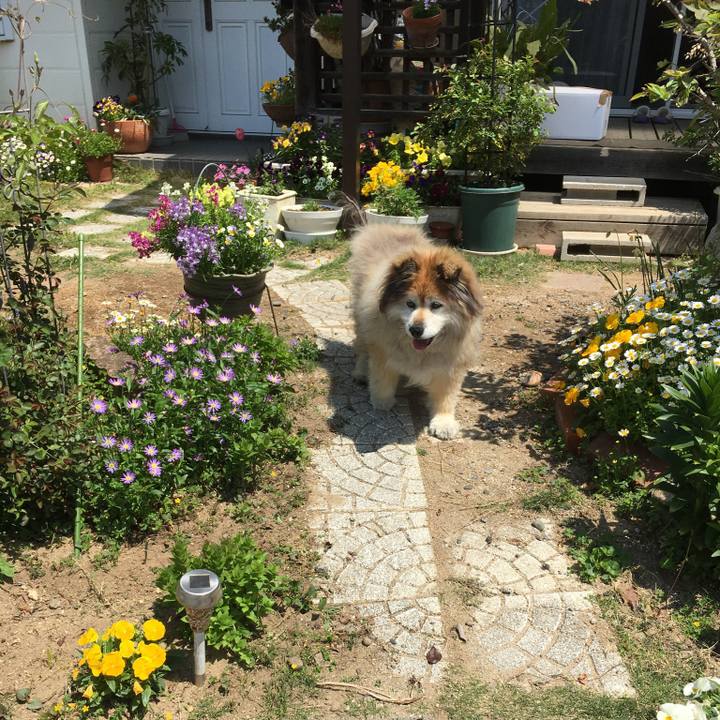 9a3aa24b f962 496d 9b14 f39dbc0b17fe 1568594828785