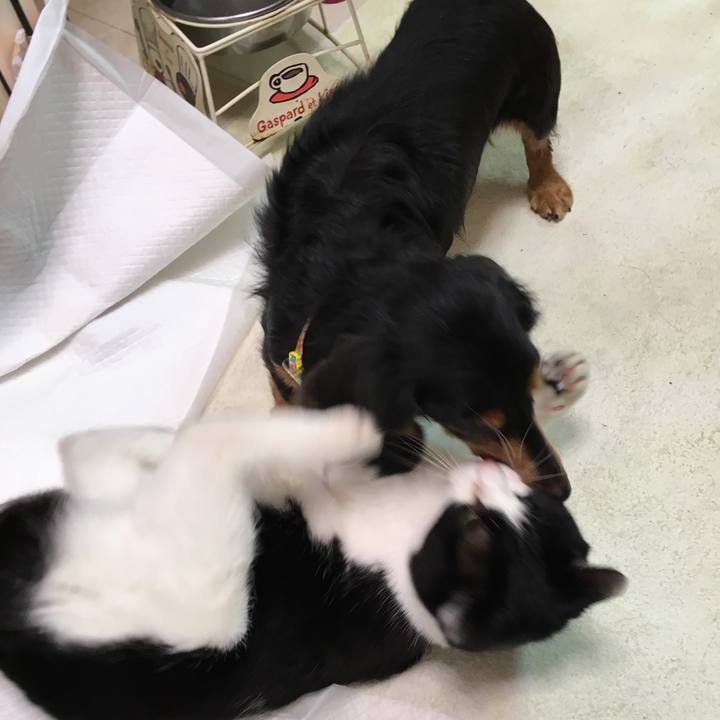 9a3aac0c aef9 4ae5 9f64 839ef1a7a069 1547779605203