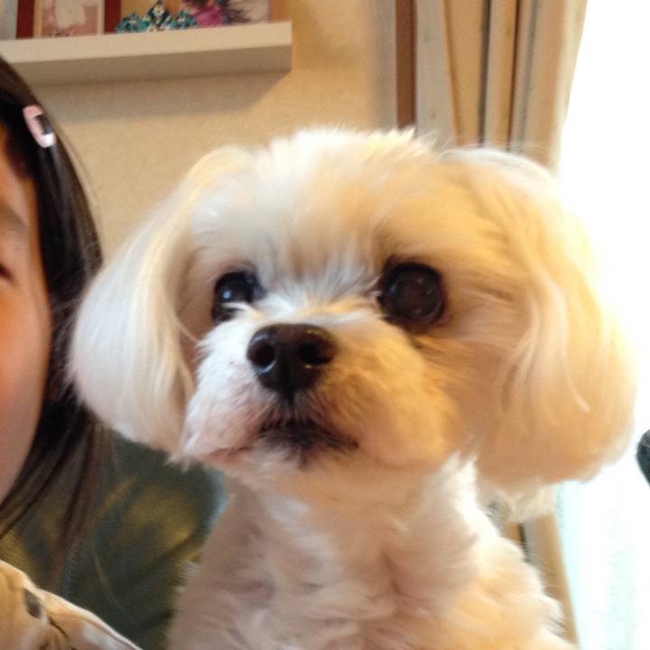 9a3ab186 94c6 4300 a639 6ee0cdcf4031 1668686359241