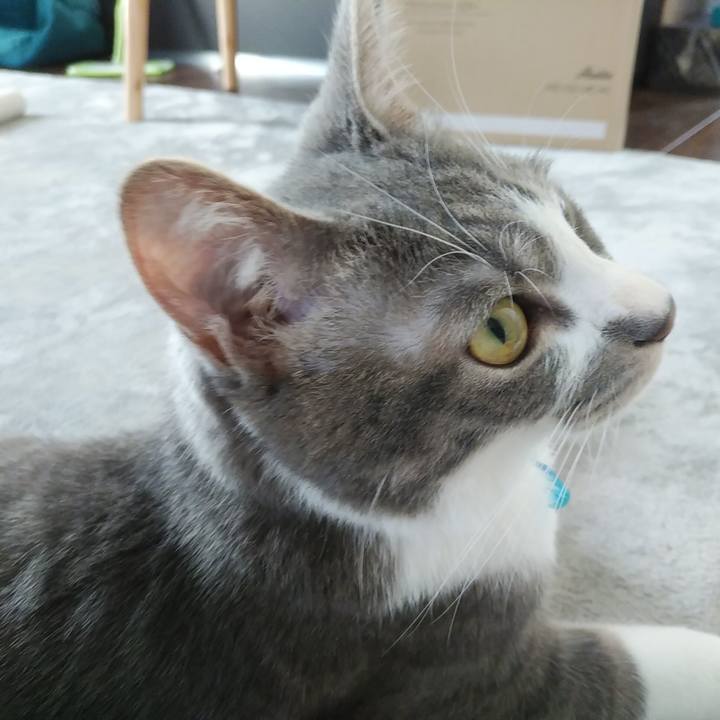 9a3ae36f dd1c 458b bbac ab1e12901836 1589263495564