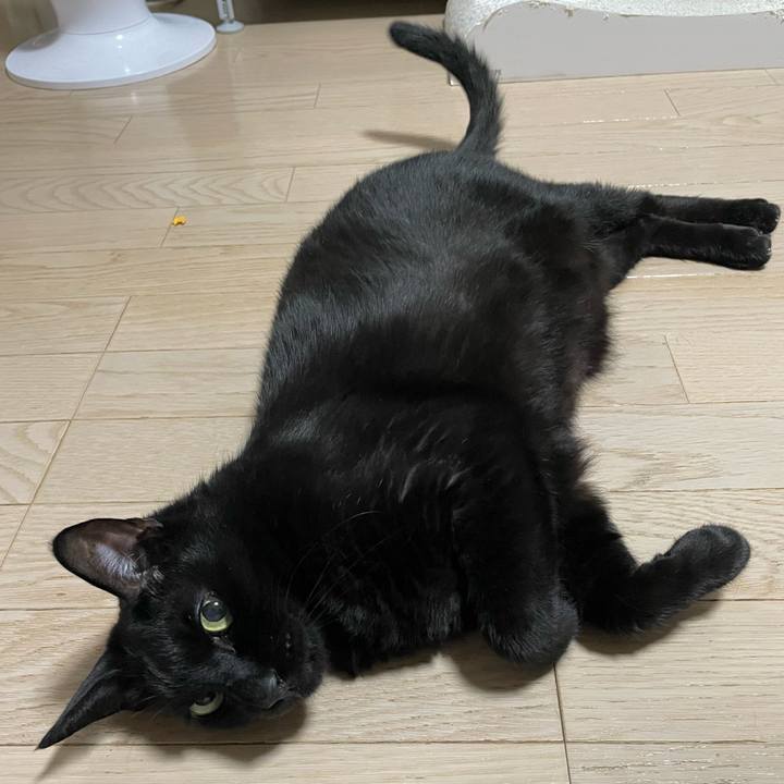 9a3b1ce3 0444 4edb a8ac 412558bd853b 1754654940572