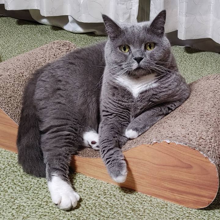 9a3b2da7 8ada 42c9 b4e3 839b76e5a0fa 1658462039610