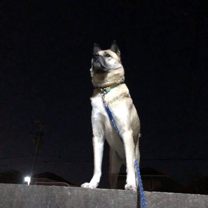 9a3b8314 892b 44f7 a197 d1626b84b9ce 1611749567870